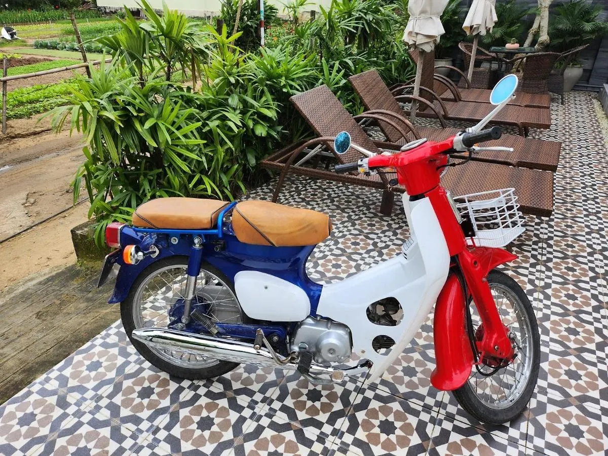 La Maison D'Indochine Hoi An Bed & Breakfast