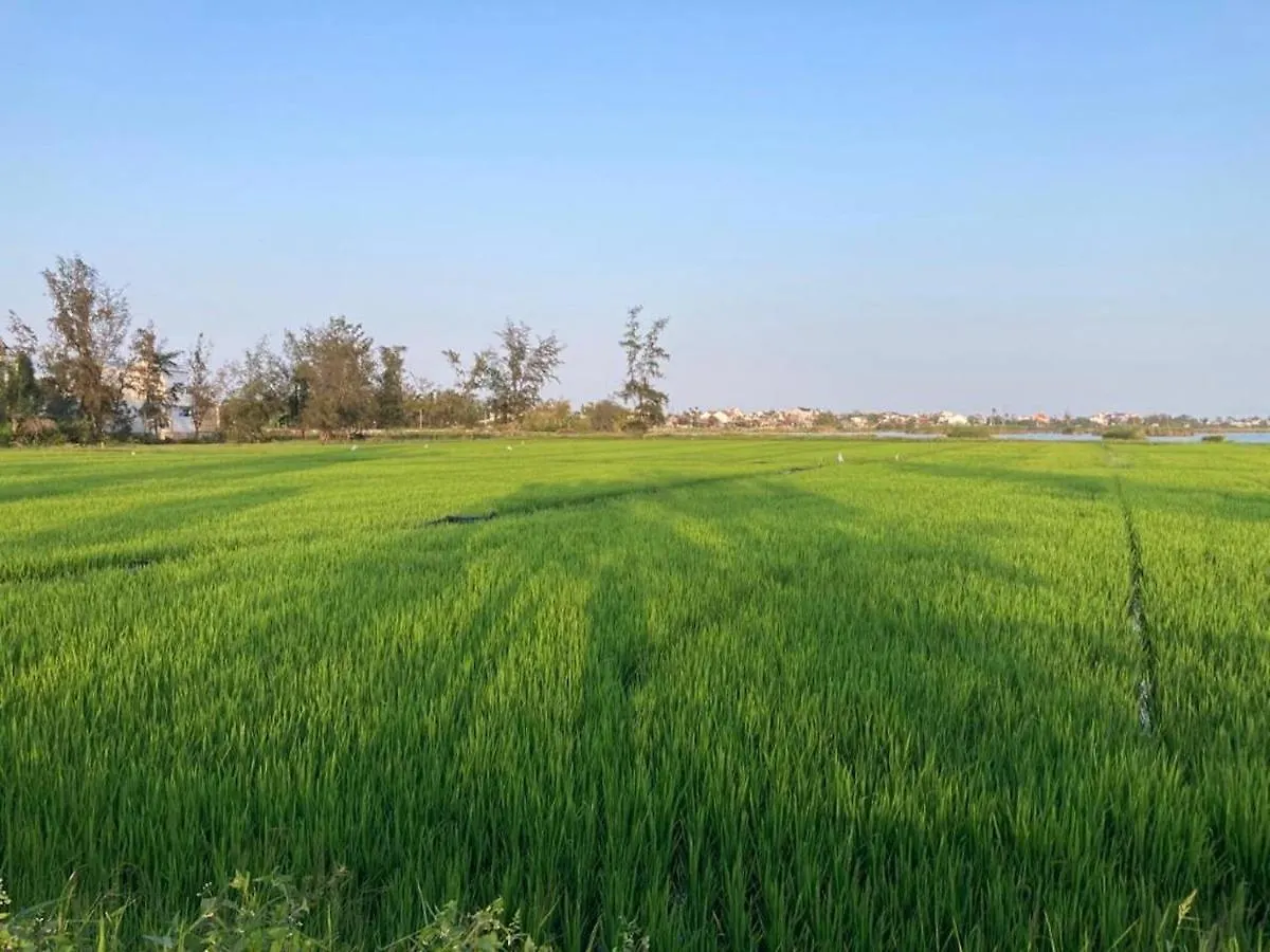 Bed & Breakfast La Maison D'Indochine Hoi An